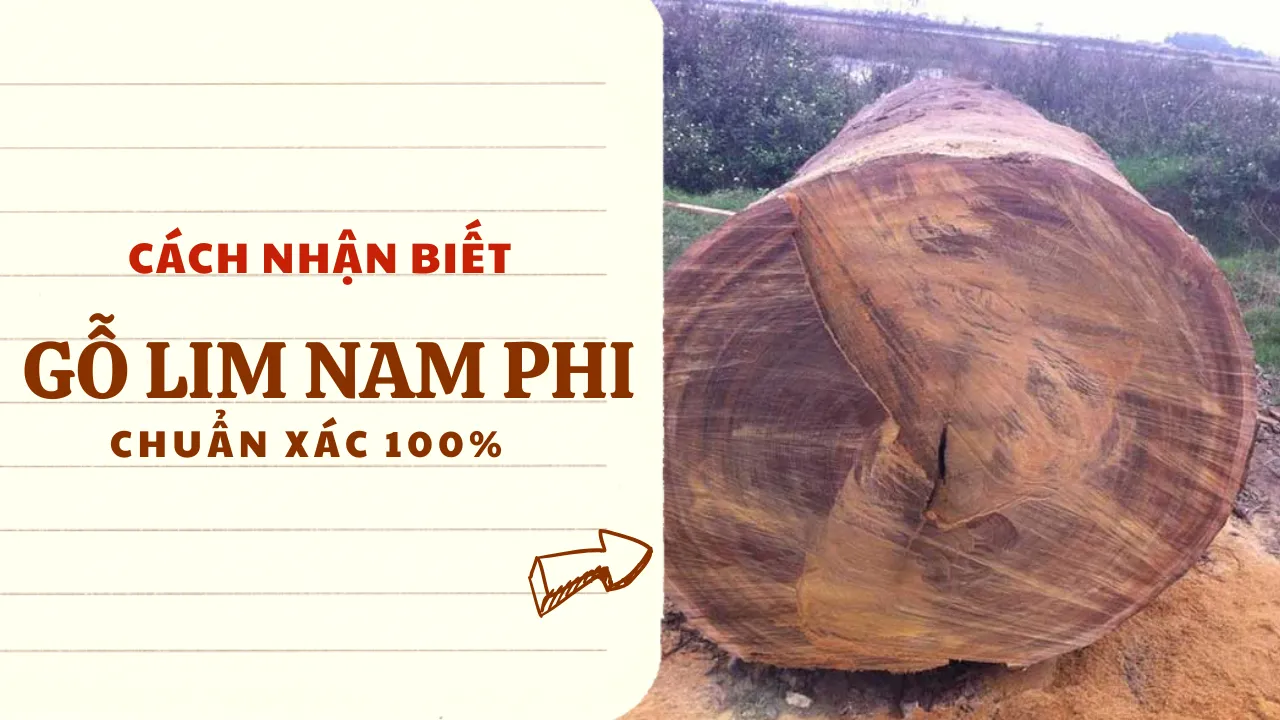 Cách nhận biết gỗ Lim Nam Phi chuẩn xác 100% 2025: Bí quyết từ chuyên gia đồ gỗ