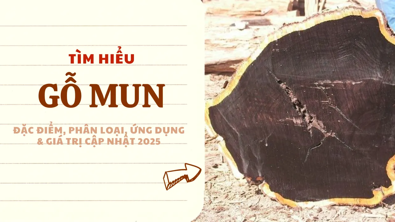Gỗ Mun: Đặc điểm, Phân loại, Ứng dụng & Giá trị Cập nhật 2025