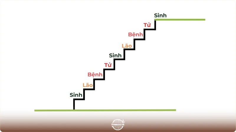 Hình minh họa quy luật Sinh – Lão – Bệnh – Tử