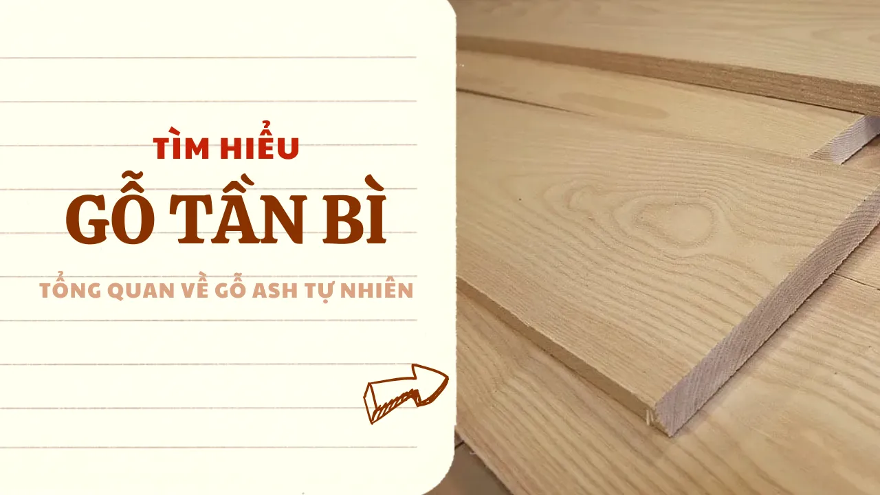 Gỗ Tần Bì là gì? Tổng quan về Gỗ Ash tự nhiên