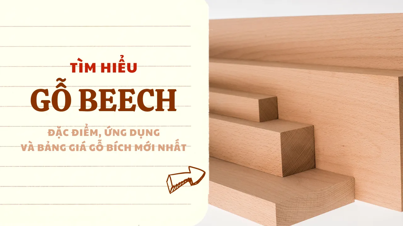 Gỗ Bích là gì? đặc điểm, ứng dụng và bảng giá Gỗ Bích mới nhất 2025