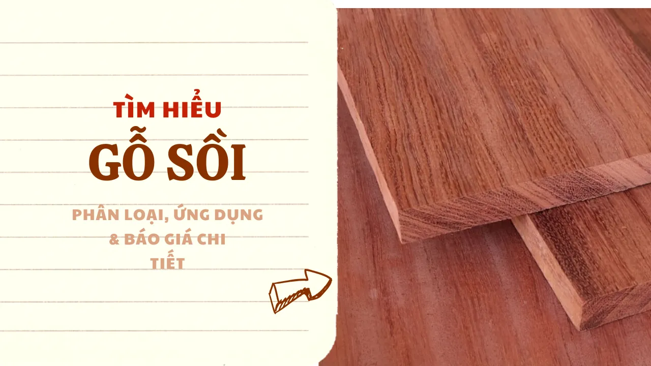 Gỗ Sồi: Đặc điểm, Phân loại, Ứng dụng & Báo giá Chi tiết [Cập nhật 2025]