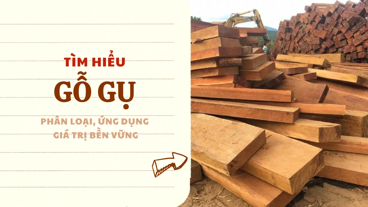 Gỗ Gụ: Đặc điểm, Phân loại, Ứng dụng & Giá trị bền vững