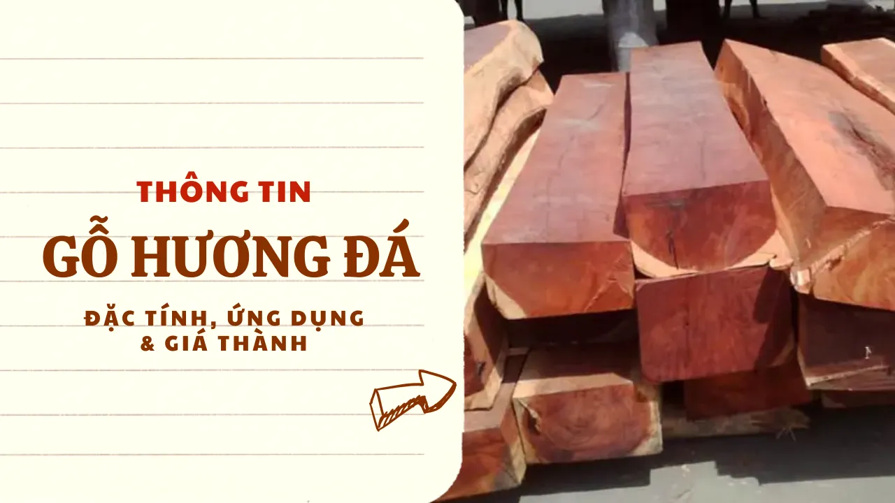 Gỗ Hương Đá: Đặc điểm, Ứng dụng và Bảng giá mới nhất 2025