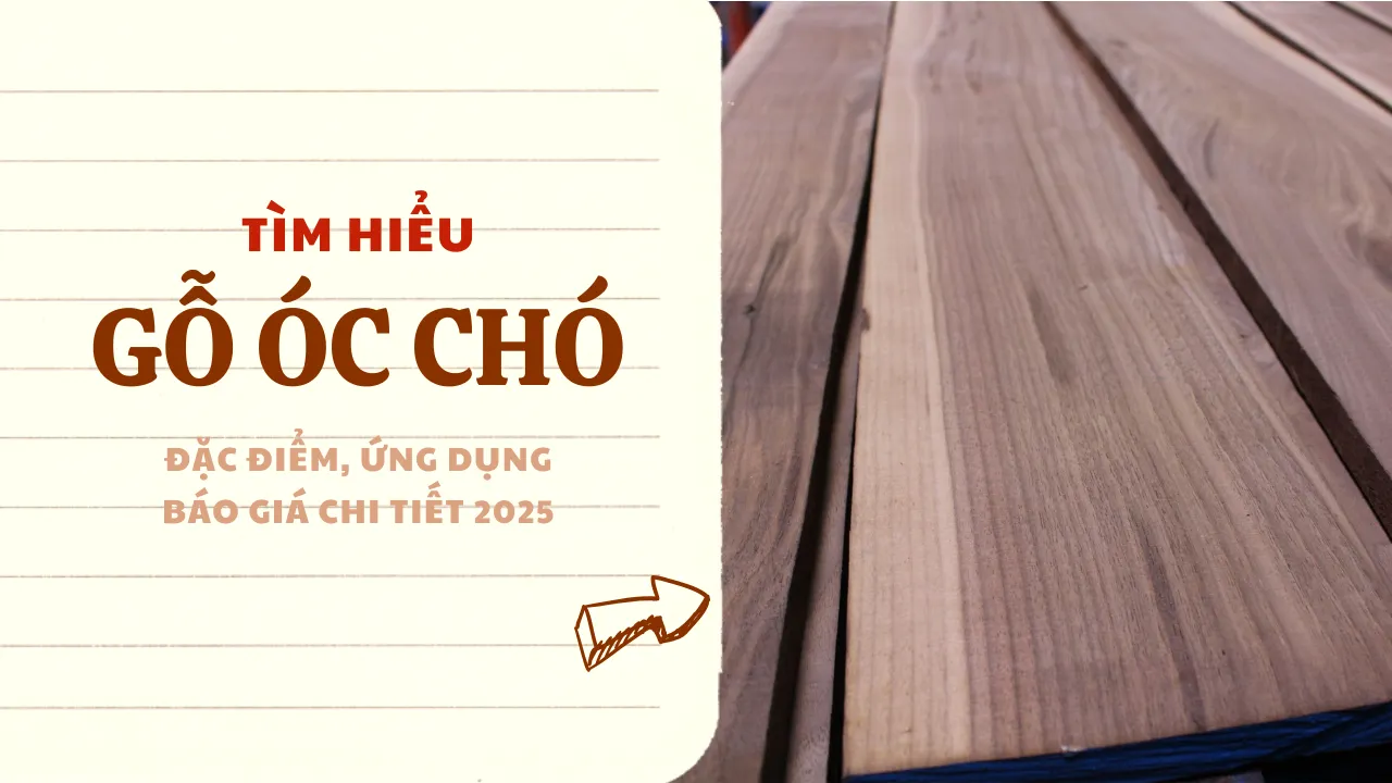 Gỗ Óc Chó: Đặc điểm, ứng dụng và báo giá chi tiết 2025