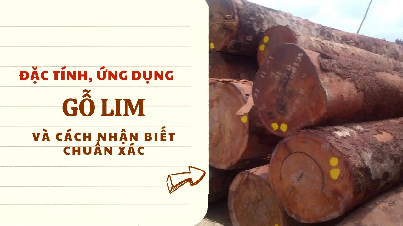 Gỗ Lim: Đặc tính, ứng dụng & cách nhận biết chuẩn xác [2025]