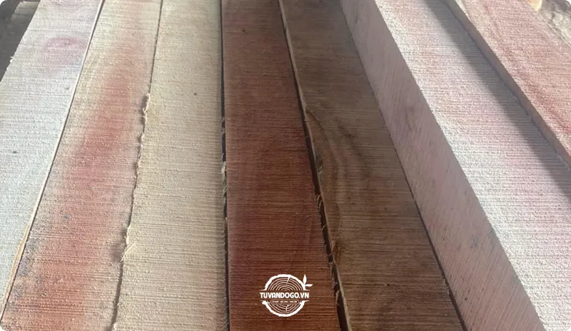Vân gỗ xà cừ và màu sắc tự nhiên